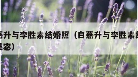 白燕升与李胜素结婚照（白燕升与李胜素结婚照吴宓）