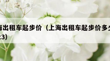 上海出租车起步价（上海出租车起步价多少钱2023）
