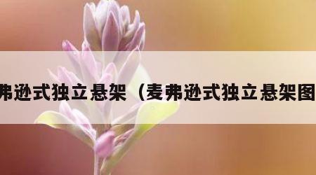 麦弗逊式独立悬架（麦弗逊式独立悬架图片）