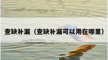 查缺补漏（查缺补漏可以用在哪里）