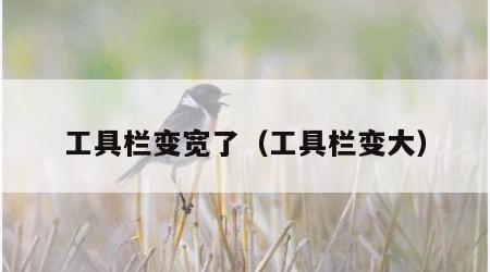 工具栏变宽了（工具栏变大）