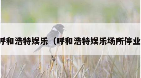 呼和浩特娱乐（呼和浩特娱乐场所停业）