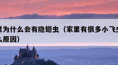 家里为什么会有隐翅虫（家里有很多小飞虫是什么原因）