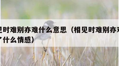 相见时难别亦难什么意思（相见时难别亦难表达了什么情感）