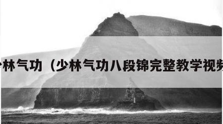 少林气功（少林气功八段锦完整教学视频）