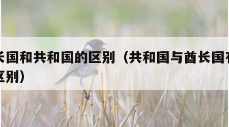 酋长国和共和国的区别（共和国与酋长国有什么区别）