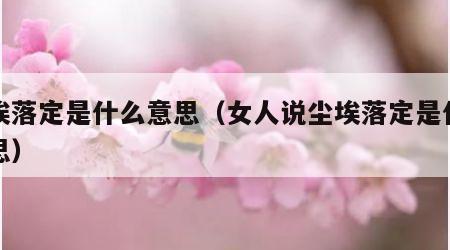 尘埃落定是什么意思（女人说尘埃落定是什么意思）