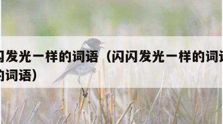 闪闪发光一样的词语（闪闪发光一样的词语类似的词语）