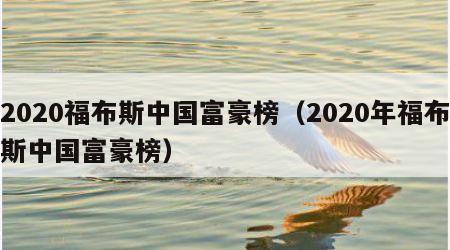 2020福布斯中国富豪榜（2020年福布斯中国富豪榜）