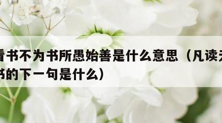 凡看书不为书所愚始善是什么意思（凡读无益之书的下一句是什么）