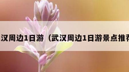 武汉周边1日游（武汉周边1日游景点推荐）