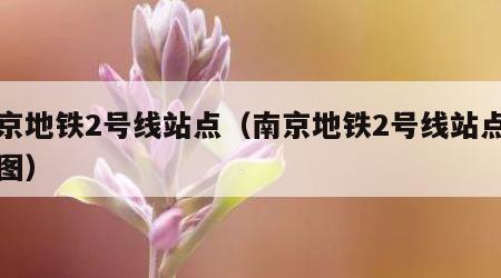 南京地铁2号线站点（南京地铁2号线站点明细图）