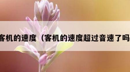 客机的速度（客机的速度超过音速了吗）
