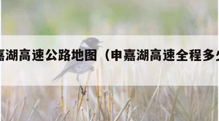申嘉湖高速公路地图（申嘉湖高速全程多少公里）