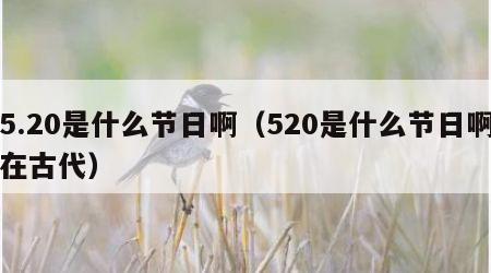 5.20是什么节日啊（520是什么节日啊在古代）