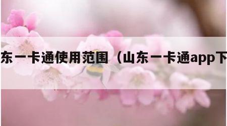 山东一卡通使用范围（山东一卡通app下载）