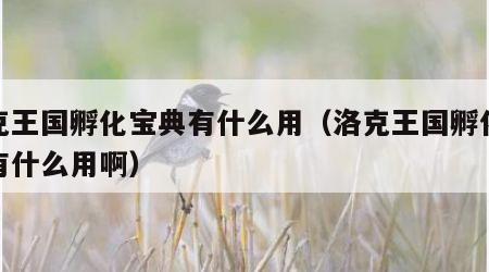 洛克王国孵化宝典有什么用（洛克王国孵化宝典有什么用啊）