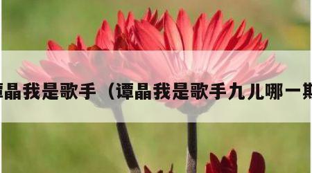 谭晶我是歌手（谭晶我是歌手九儿哪一期）