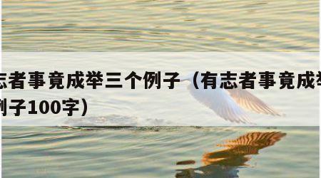 有志者事竟成举三个例子（有志者事竟成举三个例子100字）