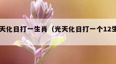 光天化日打一生肖（光天化日打一个12生肖）