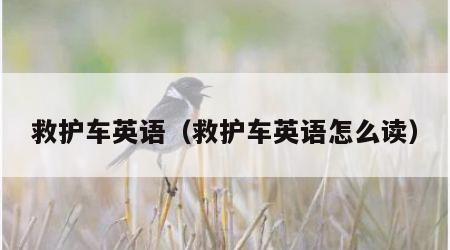 救护车英语（救护车英语怎么读）