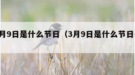 3月9日是什么节日（3月9日是什么节日子）