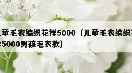 儿童毛衣编织花样5000（儿童毛衣编织花样5000男孩毛衣款）