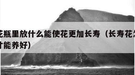 在花瓶里放什么能使花更加长寿（长寿花怎么养才能养好）