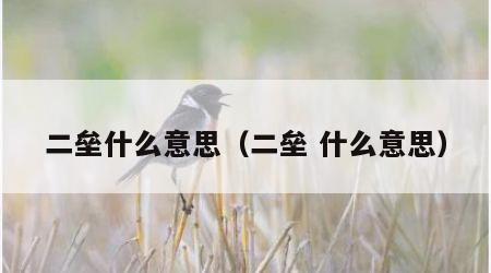 二垒什么意思（二垒 什么意思）
