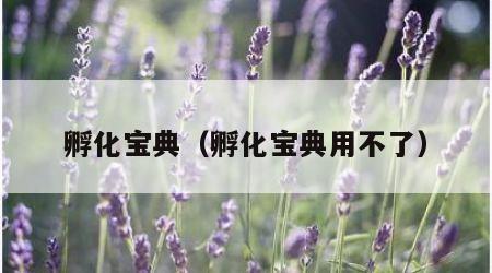孵化宝典（孵化宝典用不了）