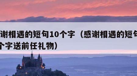 感谢相遇的短句10个字（感谢相遇的短句10个字送前任礼物）