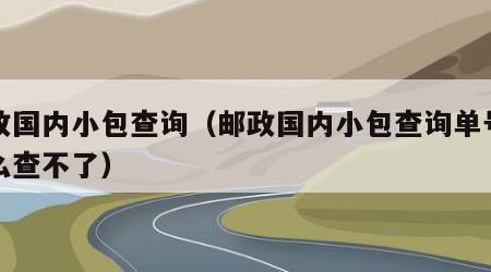 邮政国内小包查询（邮政国内小包查询单号为什么查不了）
