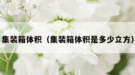 集装箱体积（集装箱体积是多少立方）