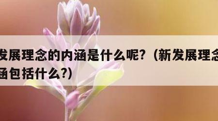 新发展理念的内涵是什么呢?（新发展理念的内涵包括什么?）