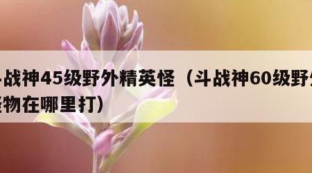 斗战神45级野外精英怪（斗战神60级野外怪物在哪里打）