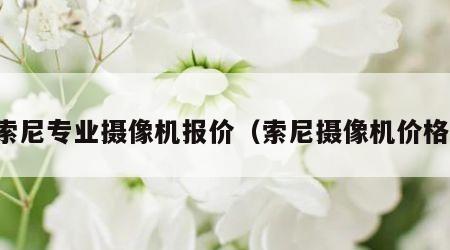 索尼专业摄像机报价（索尼摄像机价格）