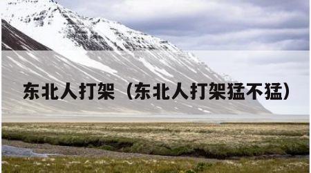 东北人打架（东北人打架猛不猛）