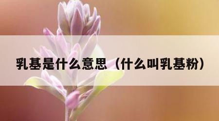 乳基是什么意思（什么叫乳基粉）