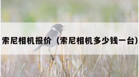 索尼相机报价（索尼相机多少钱一台）