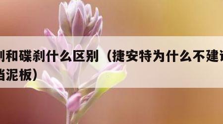 抱刹和碟刹什么区别（捷安特为什么不建议安装挡泥板）
