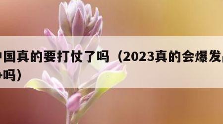 中国真的要打仗了吗（2023真的会爆发战争吗）