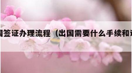韩国签证办理流程（出国需要什么手续和证件）