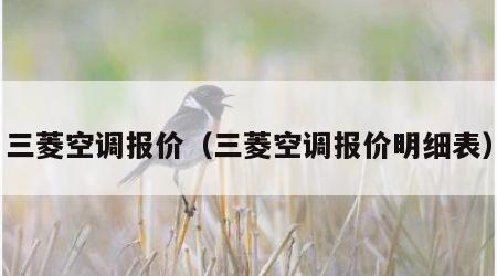 三菱空调报价（三菱空调报价明细表）