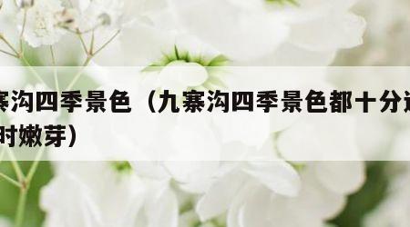 九寨沟四季景色（九寨沟四季景色都十分迷人,春时嫩芽）