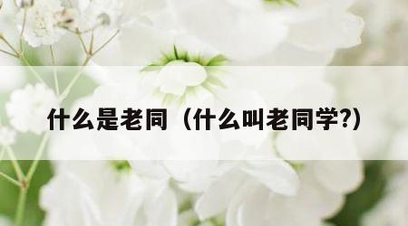 什么是老同（什么叫老同学?）