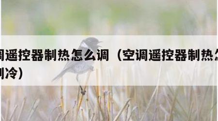 空调遥控器制热怎么调（空调遥控器制热怎么调制冷）