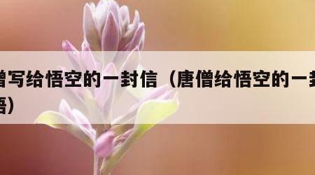 唐僧写给悟空的一封信（唐僧给悟空的一封信感悟）