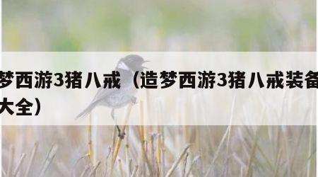 造梦西游3猪八戒（造梦西游3猪八戒装备掉落大全）