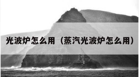 光波炉怎么用（蒸汽光波炉怎么用）