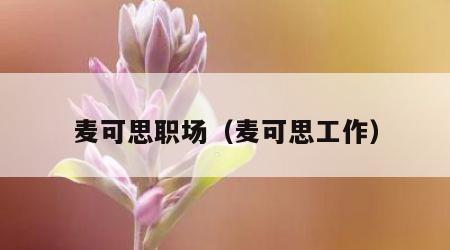 麦可思职场（麦可思工作）